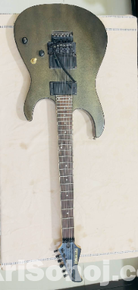 Fernandes Electric Guiter